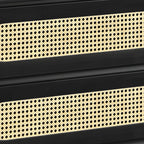 Brown Wood Rattan Front Accent Chest with Multi-Drawer