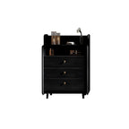 Brown Wood Rattan Front Accent Chest with Multi-Drawer