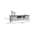 71 Coastal Wood Brown Cabinet Doors TV Stand with Legs