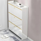 Entryway Glam Black Shoe Storage with Adjustable Shelves