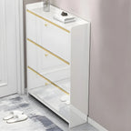 Entryway Glam Black Shoe Storage with Adjustable Shelves