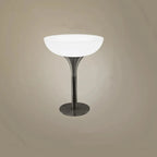 Modern Lighting White Acrylic Silver Metal Bar Tables