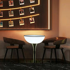 Modern Lighting White Acrylic Silver Metal Bar Tables
