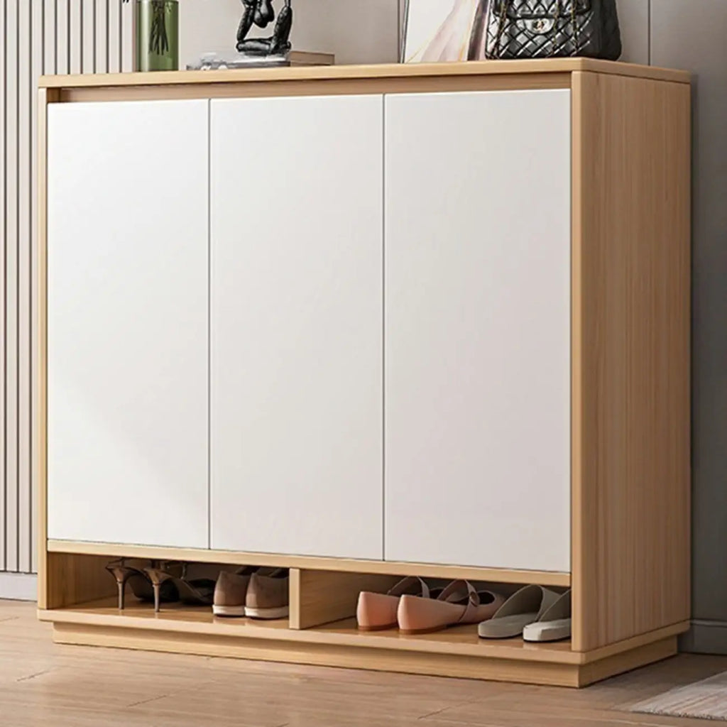 Entryway Rectangular Adjustable Wood Shoe Cabinet with Door