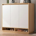 Entryway Rectangular Adjustable Wood Shoe Cabinet with Door