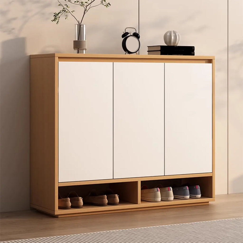 Entryway Rectangular Adjustable Wood Shoe Cabinet with Door
