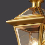 Classic Gold Glass Caged Outdoor Wall Lantern Light