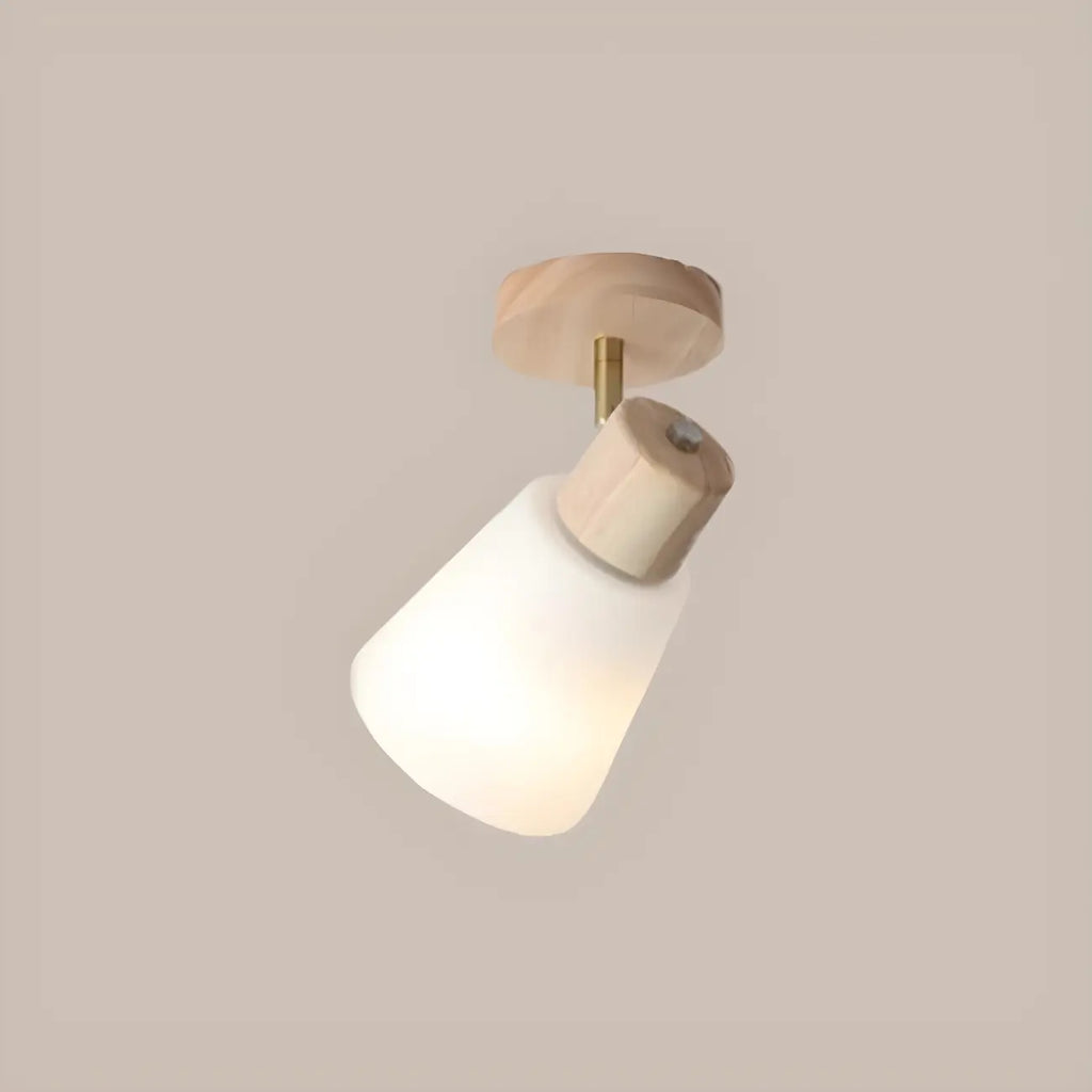 Natural Wood White Cone Glass Adjustable Semi Flush Track Light