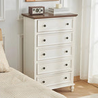 Elegant Classic Lacquered White Brown Wooden Storage Chest