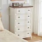 Elegant Classic Lacquered White Brown Wooden Storage Chest