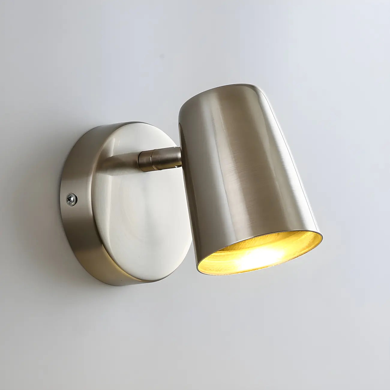 Simplicity 1-Light Cylinder Metal Indoor Adjustable Wall Sconces