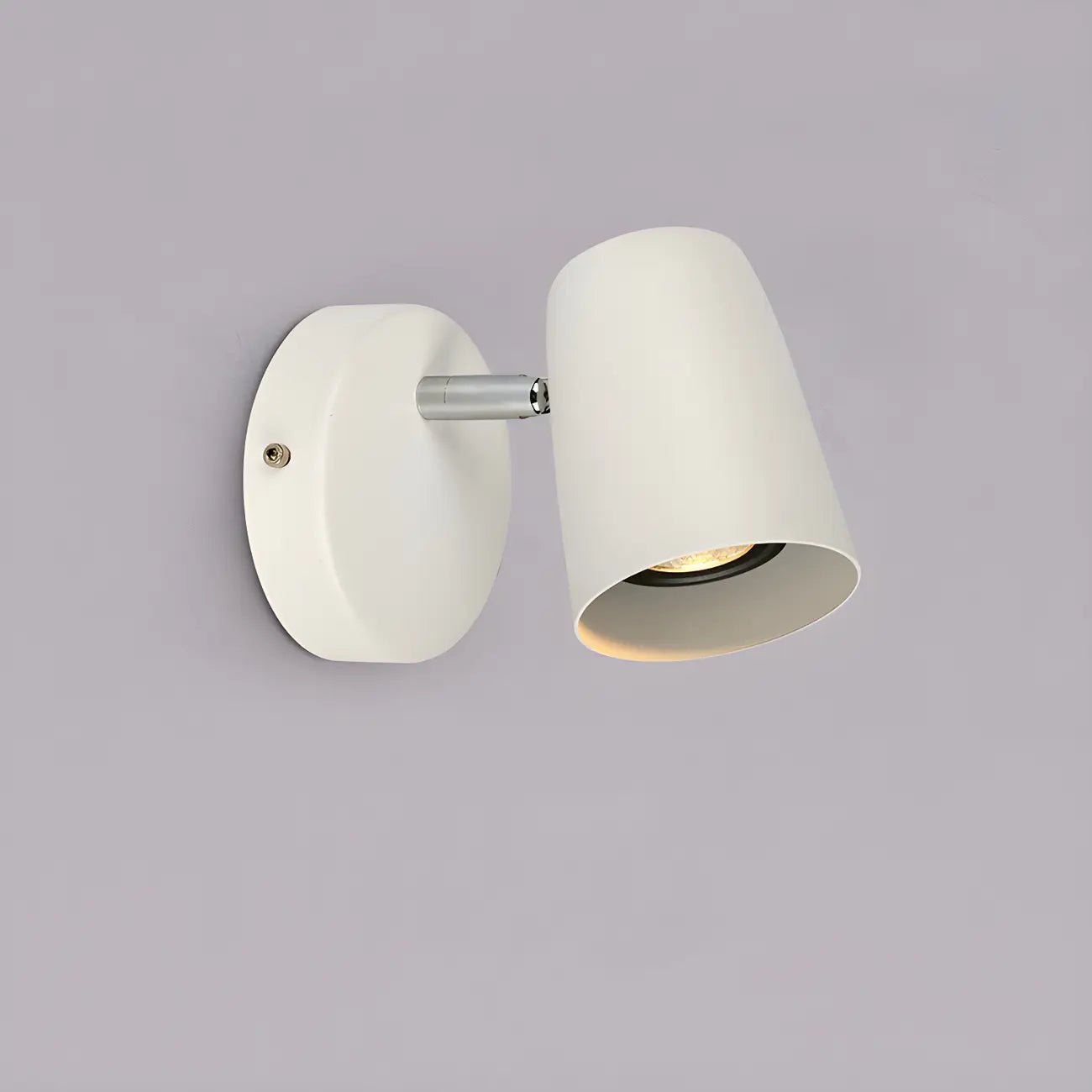 Simplicity 1-Light Cylinder Metal Indoor Adjustable Wall Sconces