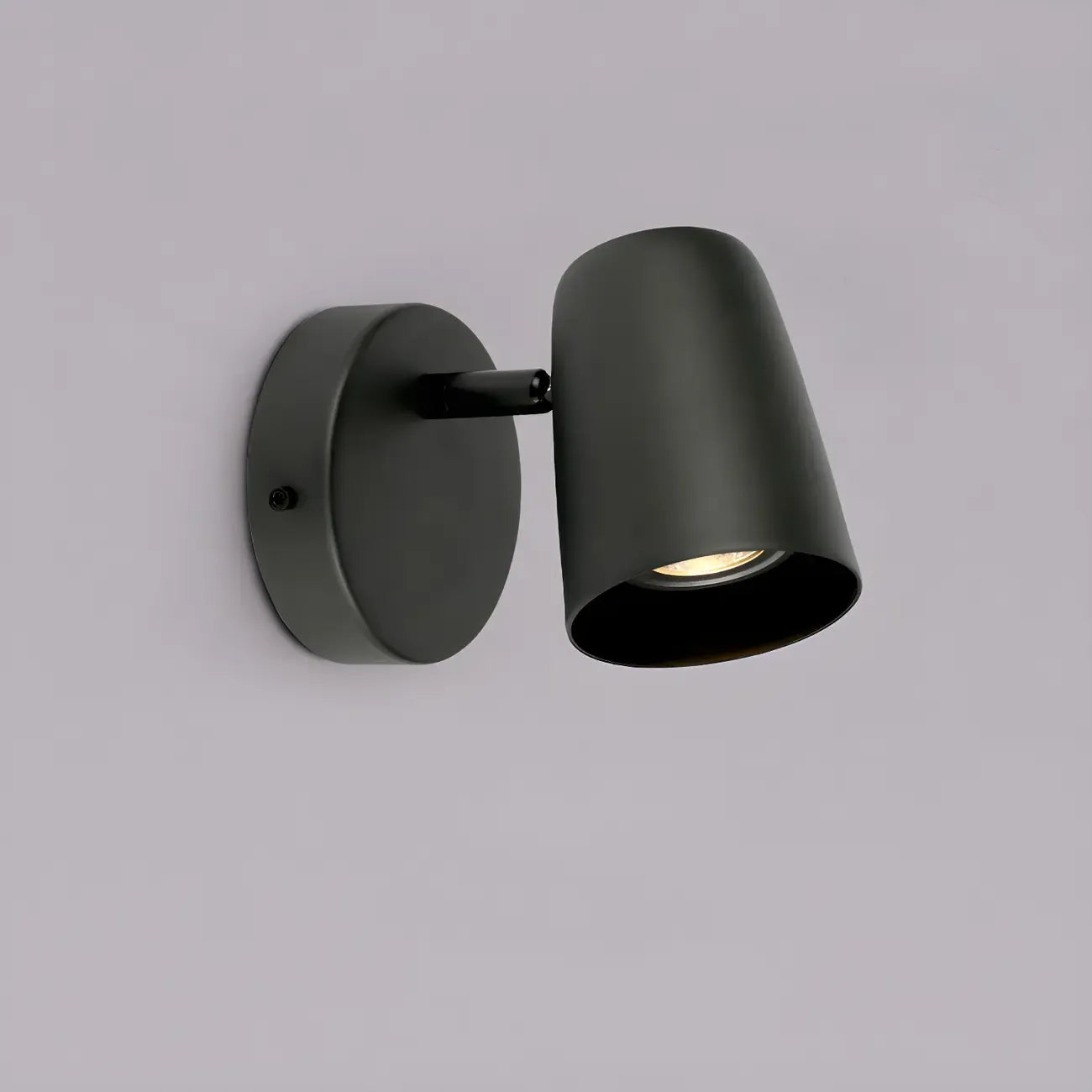 Simplicity 1-Light Cylinder Metal Indoor Adjustable Wall Sconces