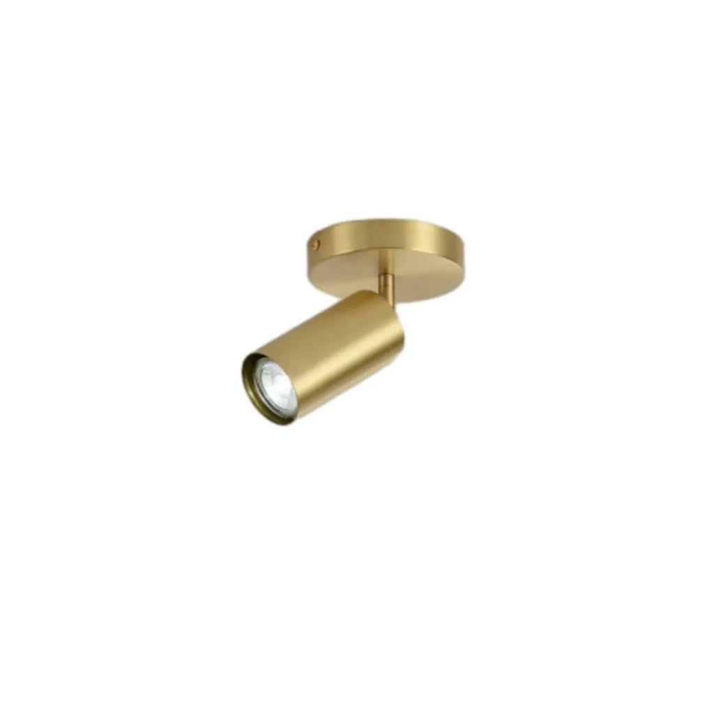 Modern Brass Adjustable Track Lighting