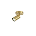 Modern Brass Adjustable Track Lighting