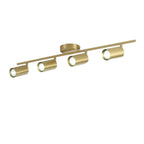 Modern Brass Adjustable Track Lighting