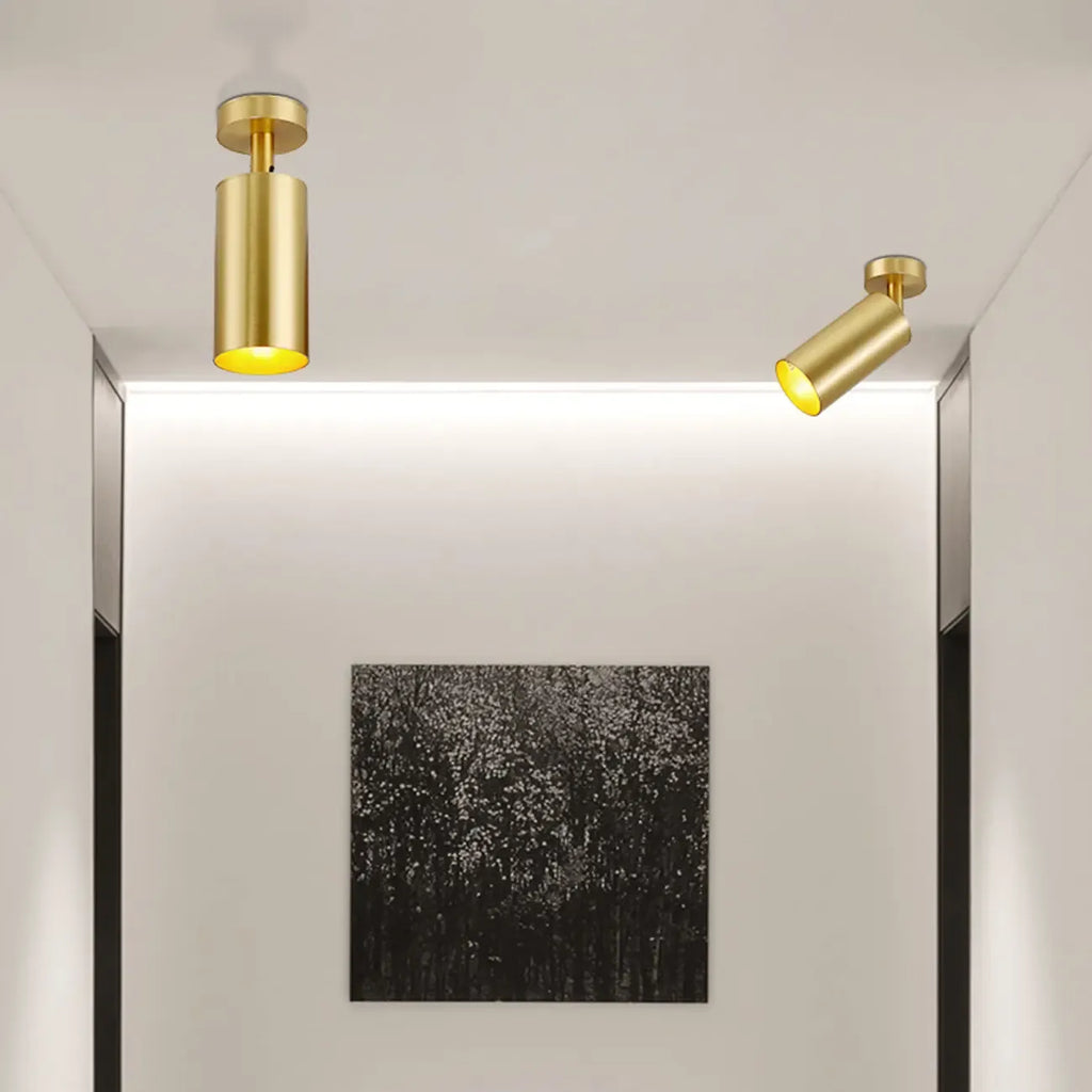 Modern Brass Adjustable Track Lighting