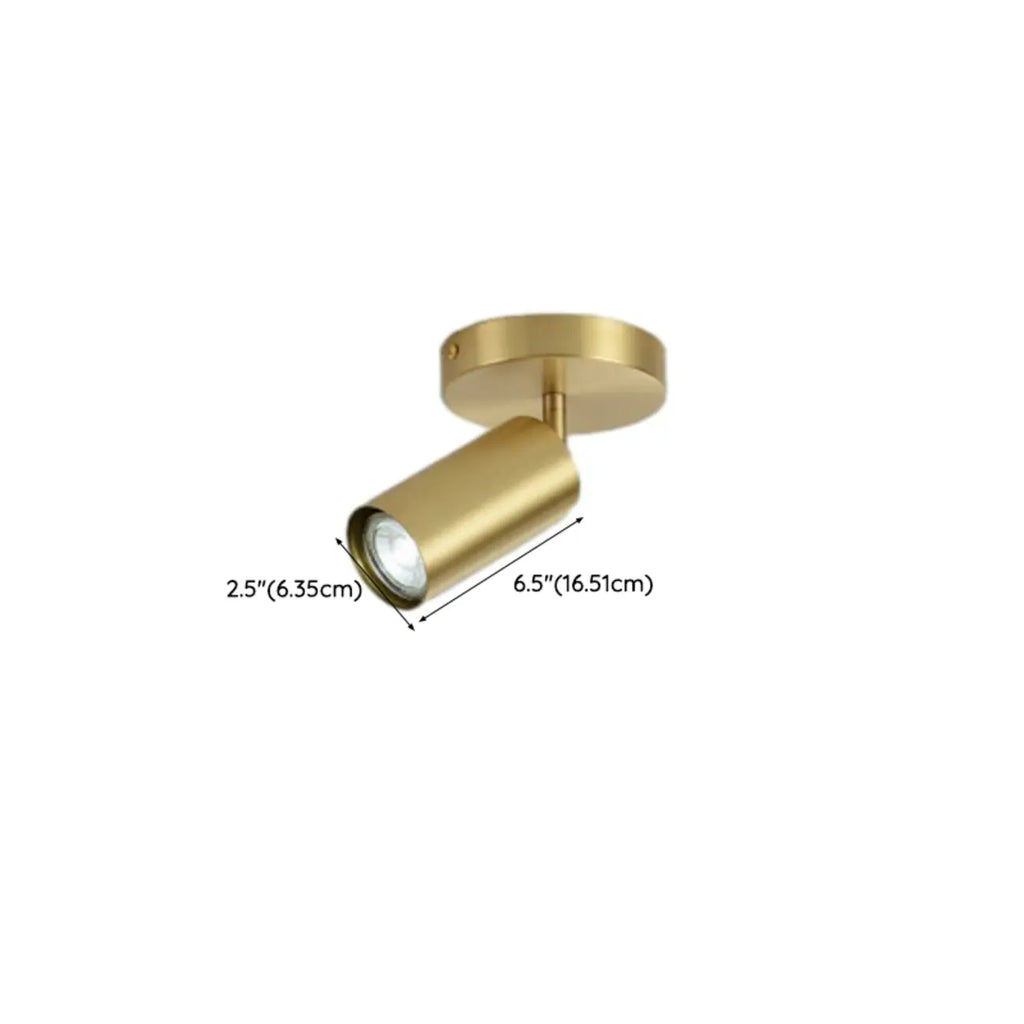 Modern Brass Adjustable Track Lighting