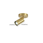 Modern Brass Adjustable Track Lighting
