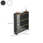 Entryway Glam Black Shoe Storage with Adjustable Shelves