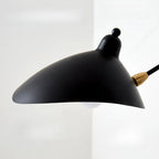 2-Light and 1-Light Metal Black Swing Arm Wall Light