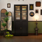 Contemporary Black Metal Bookcase with Glass Doors