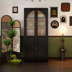 Contemporary Black Metal Bookcase with Glass Doors