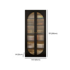 Contemporary Black Metal Bookcase with Glass Doors