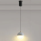 Modern Rose Gold Clear Globe Liftable Pendant Light