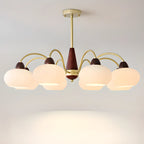 Classic Gold Glass Drum Shade Elegant Chandelier