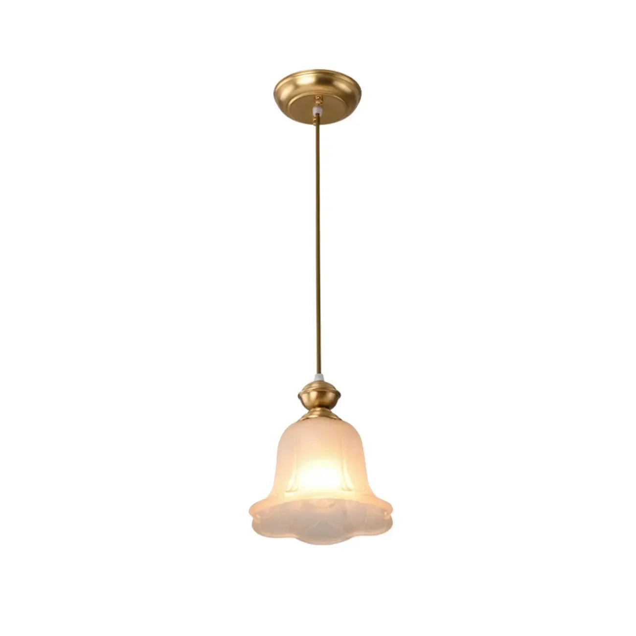 Indoor Clear Glass Pendant Lights Fixture with Adjustable Height