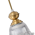 Indoor Clear Glass Pendant Lights Fixture with Adjustable Height