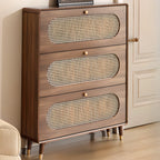 Bohemian Slim Brown Drop-Front Wood Shoe Cabinet