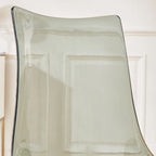 Modern Armless Plastic & Acrylic Dining Chair