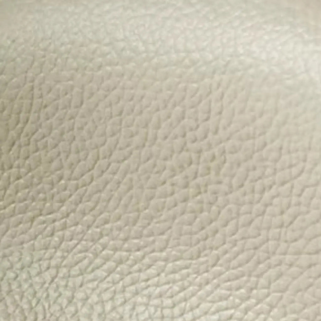 Modern Nappa Leather Solid Color Accent Chair with Arms
