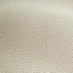 Modern Nappa Leather Solid Color Accent Chair with Arms