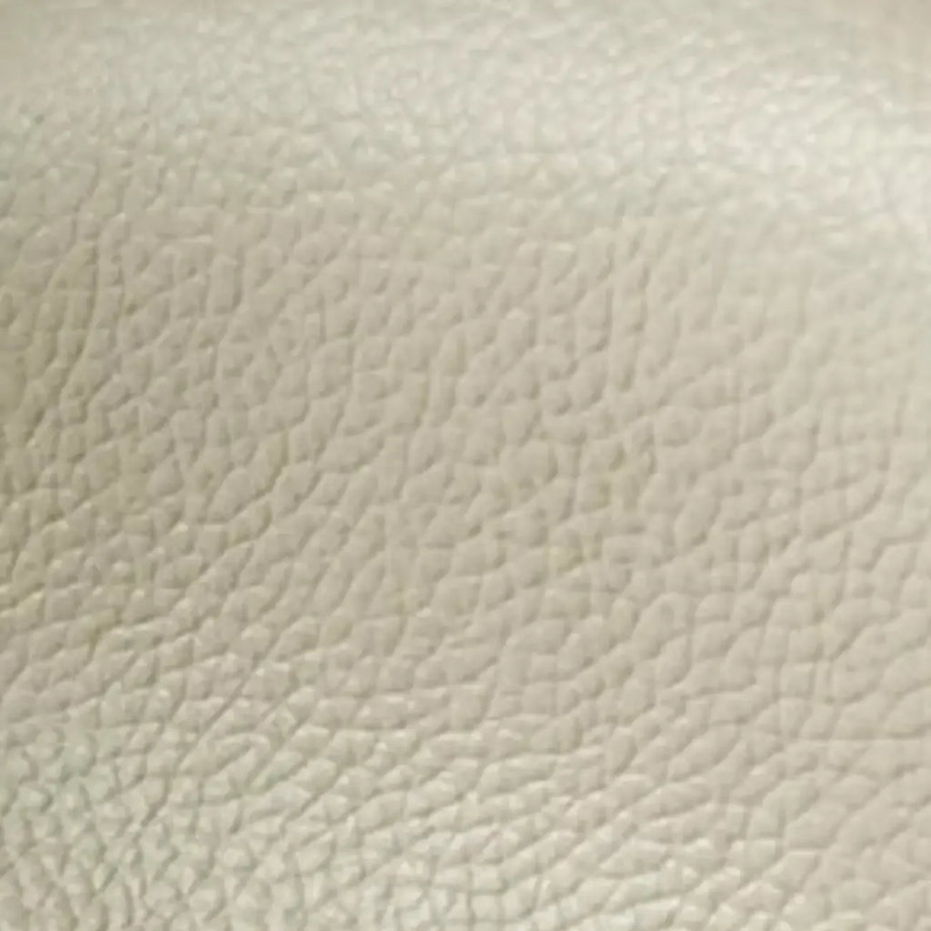 Modern Nappa Leather Solid Color Accent Chair with Arms
