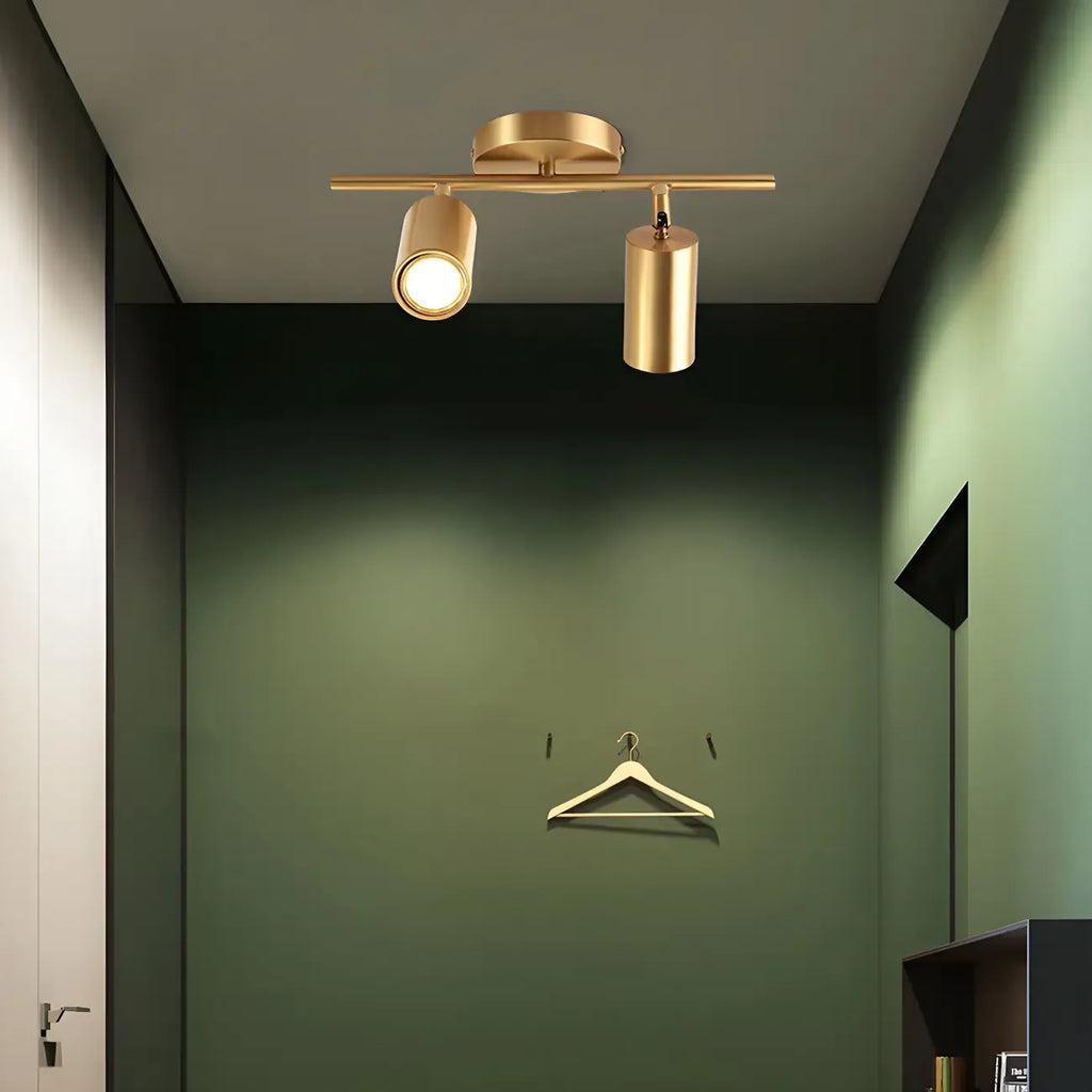 4 Light Gold Track Lighting with Adjustable Heads