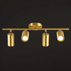 4 Light Gold Track Lighting with Adjustable Heads