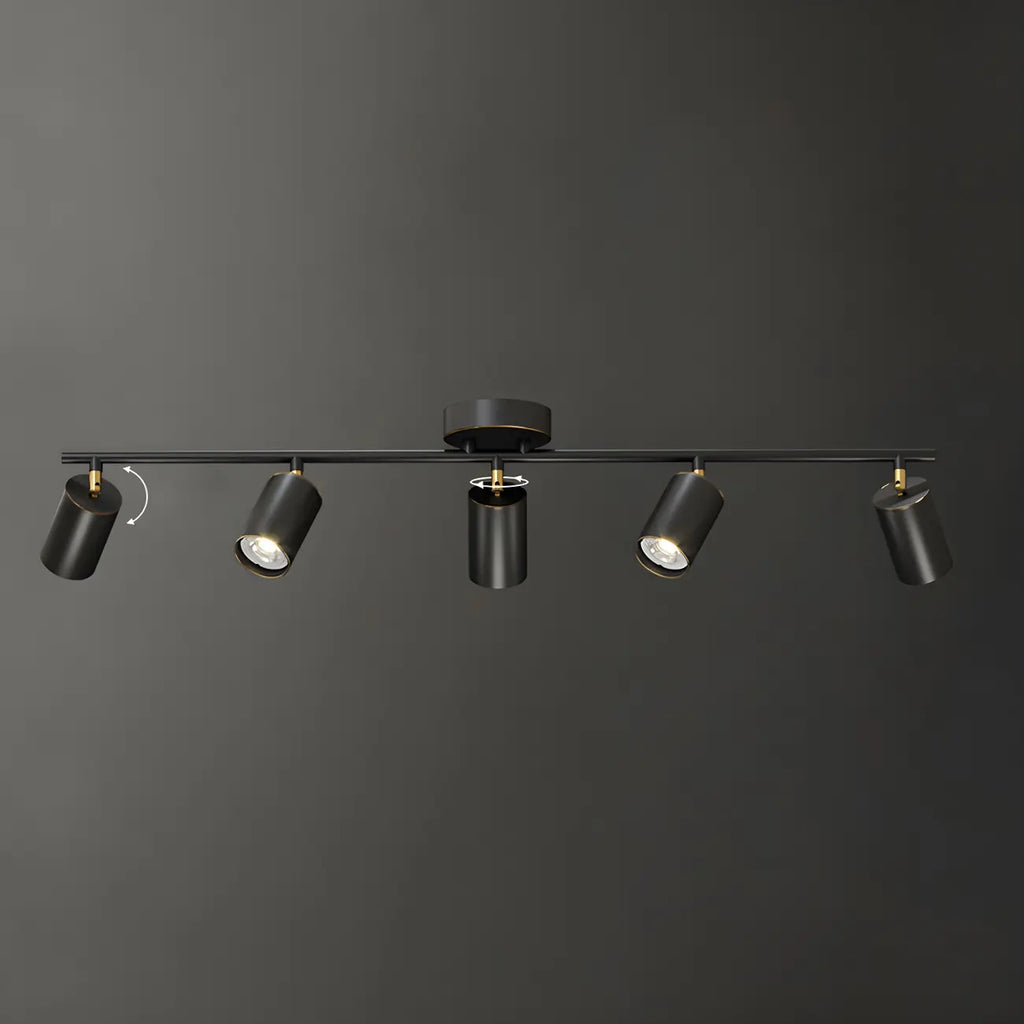 4 Light Gold Track Lighting with Adjustable Heads