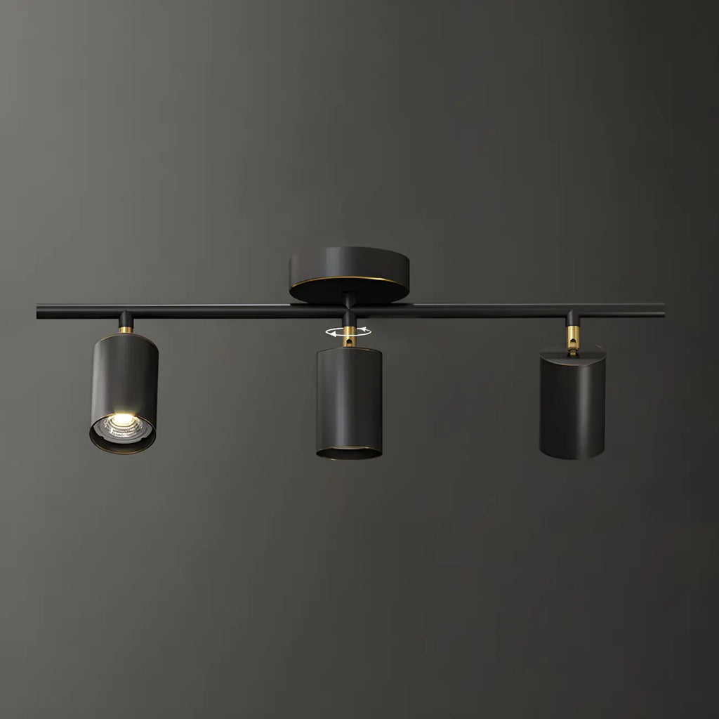 4 Light Gold Track Lighting with Adjustable Heads
