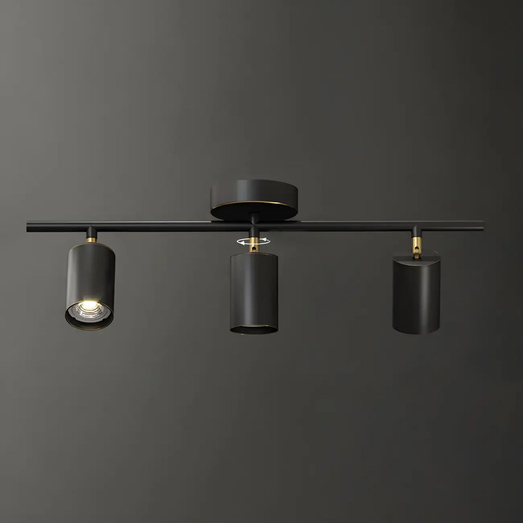 4 Light Gold Track Lighting with Adjustable Heads