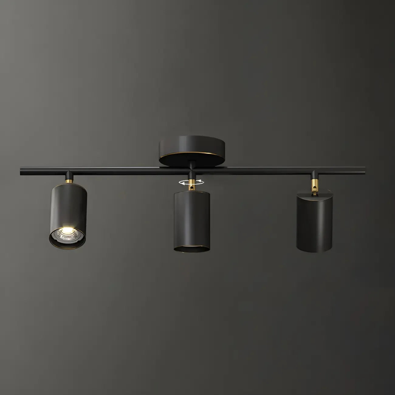 4 Light Gold Track Lighting with Adjustable Heads