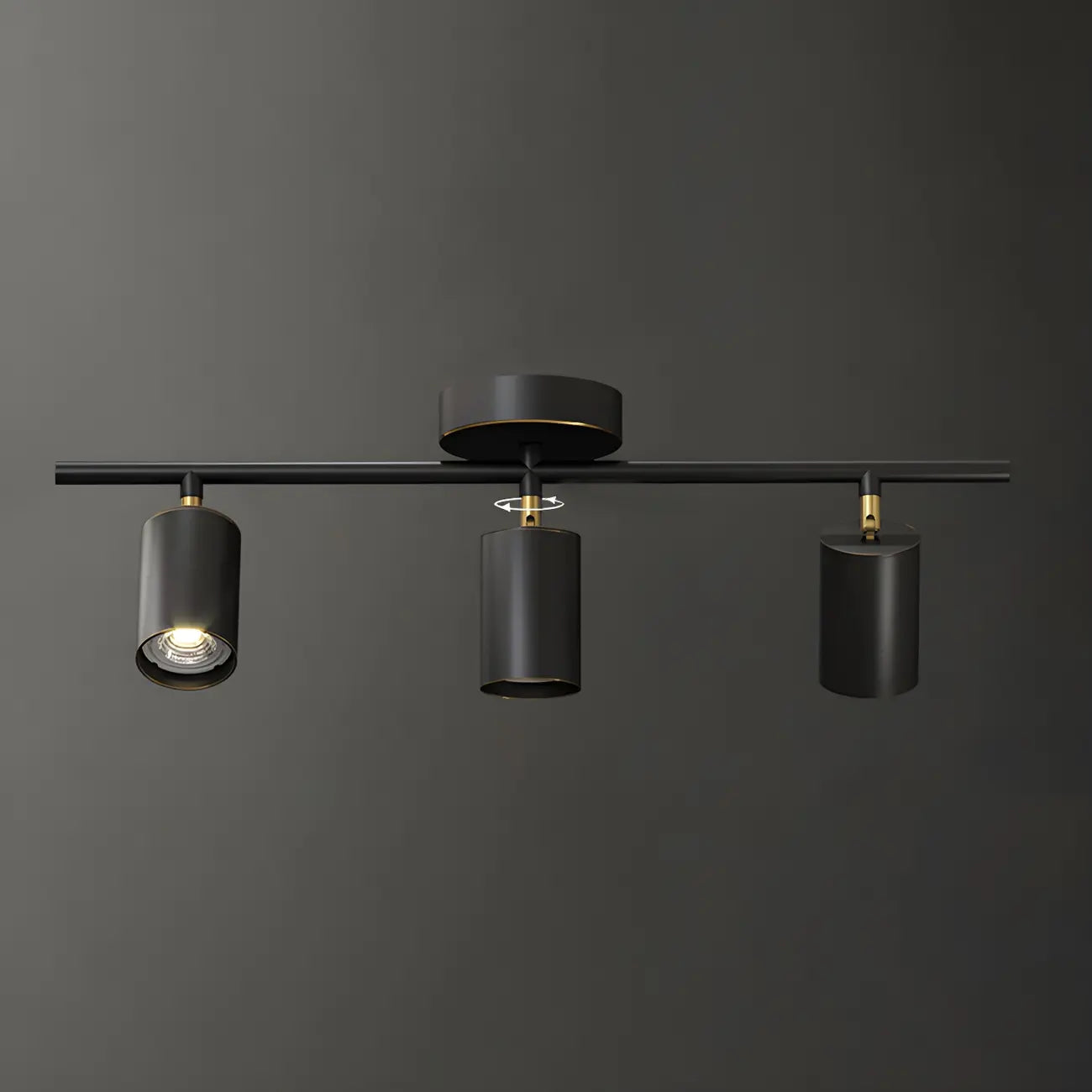 4 Light Gold Track Lighting with Adjustable Heads
