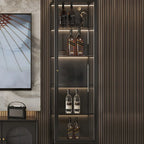Elegant Modern Metal Black Glass Door Curio Cabinet
