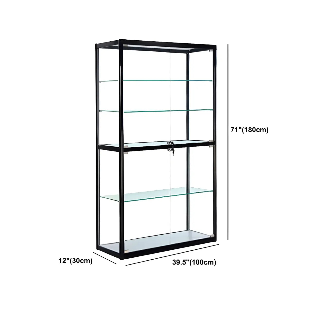 Contemporary Rectangular Black Glass Curio Cabinet