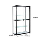 Contemporary Rectangular Black Glass Curio Cabinet