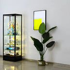 Modern Glass Black Curio Cabinet with Adjustable Shelves