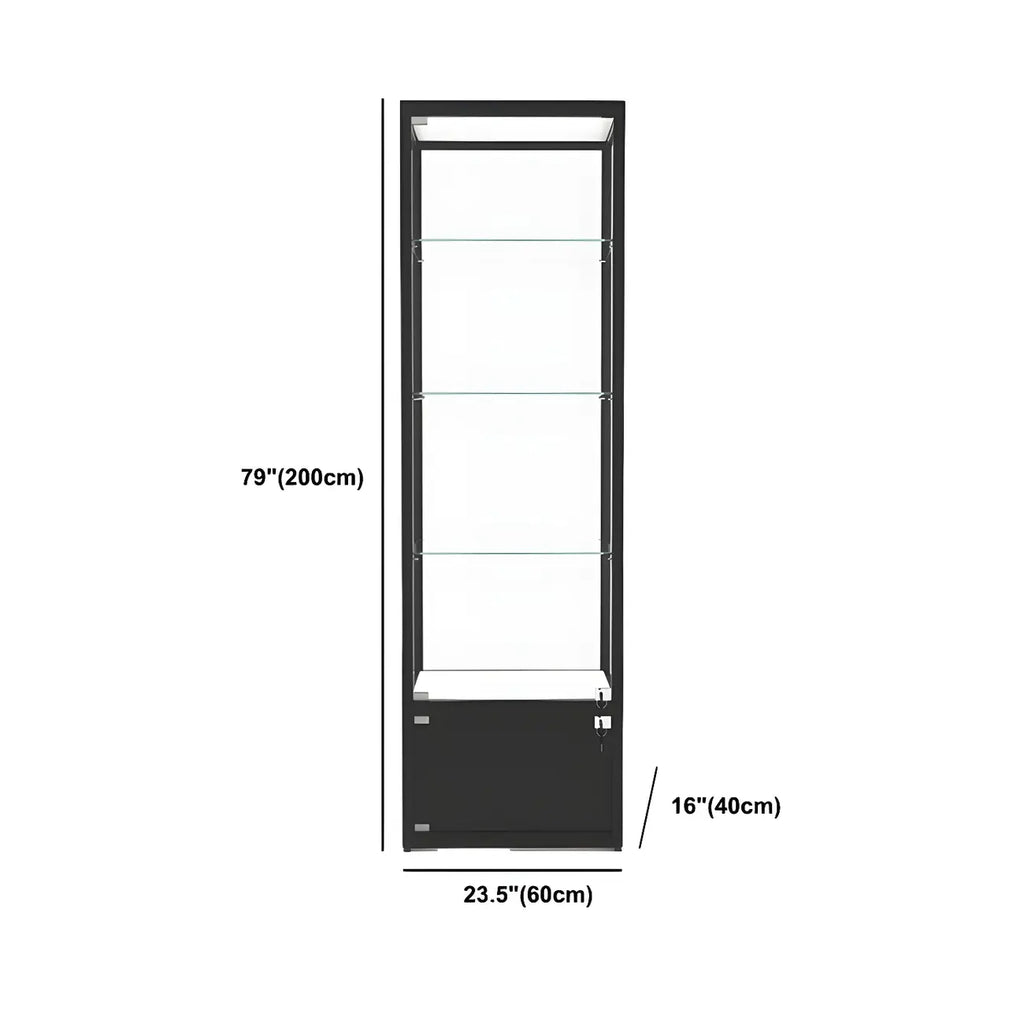 Modern Glass Black Curio Cabinet with Adjustable Shelves