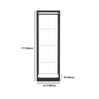 Modern Glass Black Curio Cabinet with Adjustable Shelves
